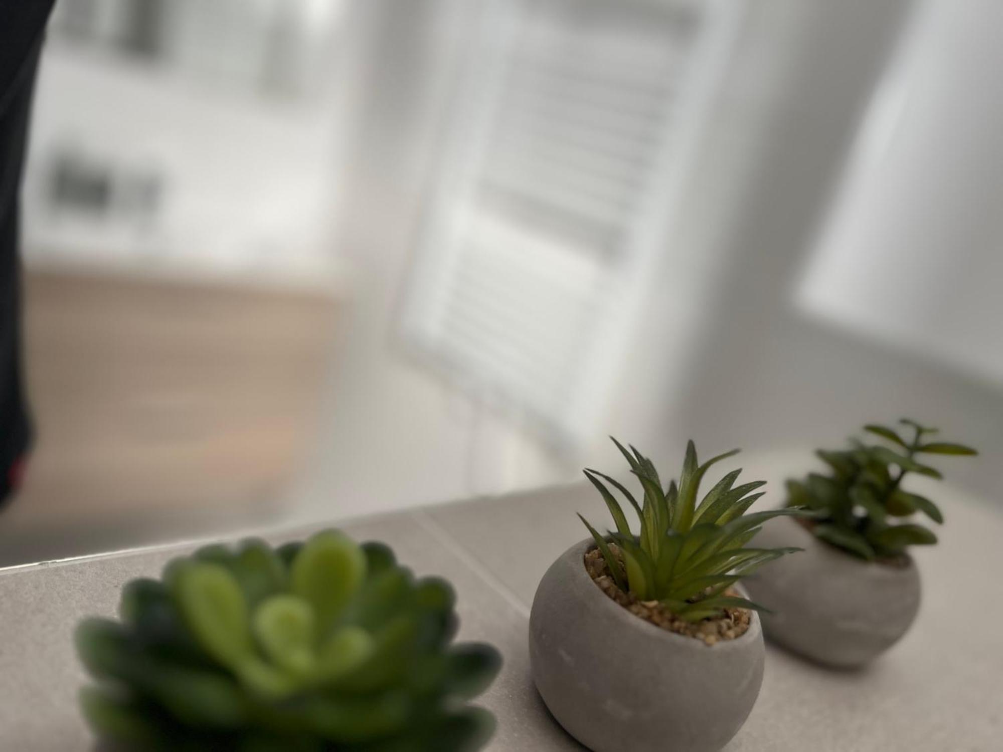 Apartmany Catalina Nesvady Esterno foto